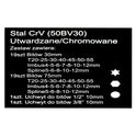 Zestaw kluczy trzpieniowych Mertz komplet bitów HEX TORX SPLINE M12140 x40