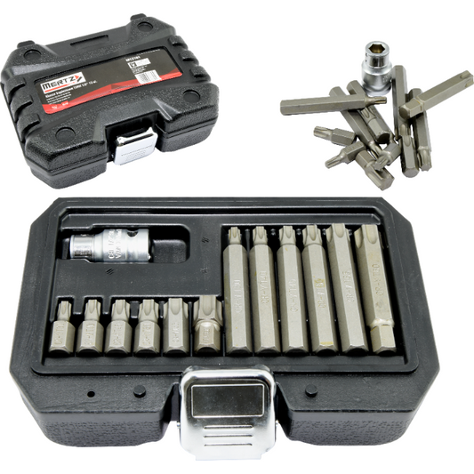 Zestaw kluczy trzpieniowych Mertz komplet bitów imbus 1/2" TORX M12161 x13